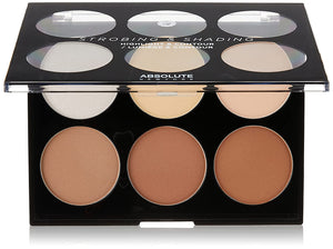 Strobing & Shading Highlight and contour palette