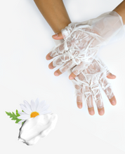 Load image into Gallery viewer, Avry Shea Butter Gloves - Chamomile
